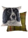 Dog cushions 