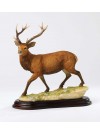 Wildlife