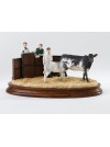 Cattle