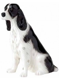 English Springer Spaniel Black & White