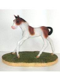 Foal Coloured