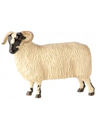 Blackfaced Ewe Was £29.95