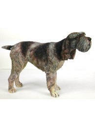 Italian Spinone Was £35