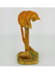Cat On Pole