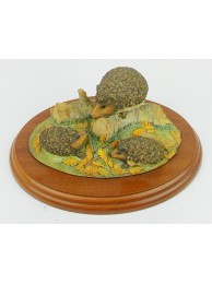 Hedgehogs (secondary) Was £95