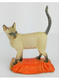 Cat (secondary)