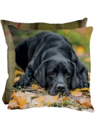 Pretty Please Cushion With Tweed Reverse