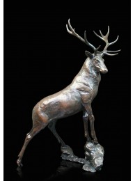 Bronze High Point