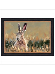 Framed Print Whiskers By Debbie Boon
