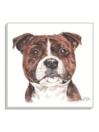 Canvas Print Staffs Bull Terrier Was £25