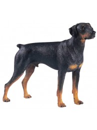 Doberman Standing