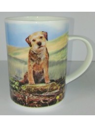 Viewpoint Mug