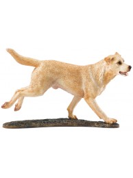 Labrador Yellow