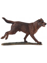 Labrador Chocolate