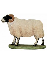 Swaledale Ram Miniature
