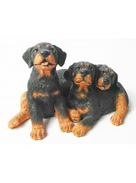 Three Doberman Pups