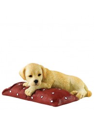 Chilling Out (golden)