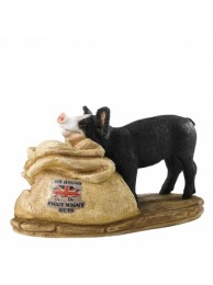 Mr Hoggs Piggy Wiggy Nuts