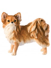 Pomeranian-standing