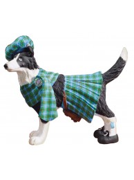 Calum Dapper Dogs