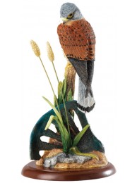 Kestrel