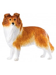 Sheltie