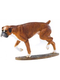 Boxer Brindle
