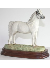 Welsh Mountain Pony