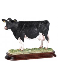 Holstein Cow