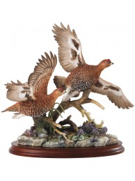 In Flight