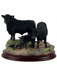 Welsh Black Family