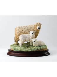 Greyface Dartmoor Ewe & Lambs Was £295