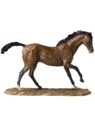 Thoroughbred Horse