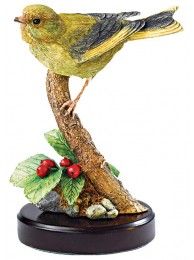 Greenfinch