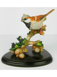 Sparrow With Ivy