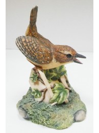 Wren On Broken Cup