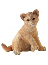 Lion Cub-innocence Was £95