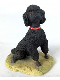 Poodle Sitting