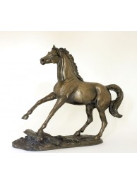 Rearing Stallion