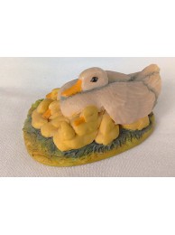 Duck And Ducklings