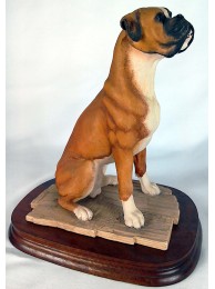 Boxer Sitting